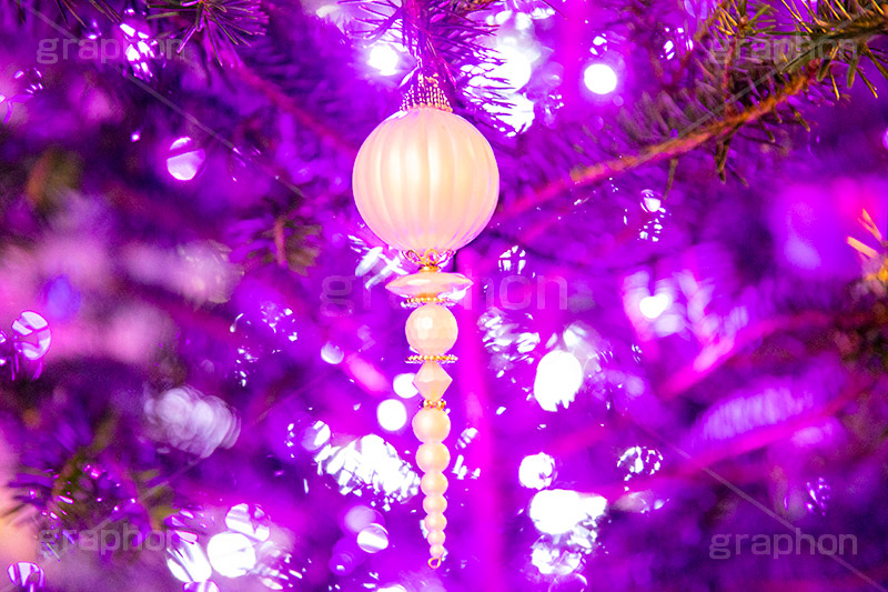 ピンクに輝くクリスマスツリー,クリスマスツリー,イルミネーション,イルミ,illumination,tree,電飾,電球,発光ダイオード,LED,冬,キラキラ,綺麗,きれい,キレイ,煌,輝,クリスマス,CHRISTMAS,Xmas,ornament,present,pink,飾り,デコレーション,イベント,オーナメント,ピンク,雨,雨粒