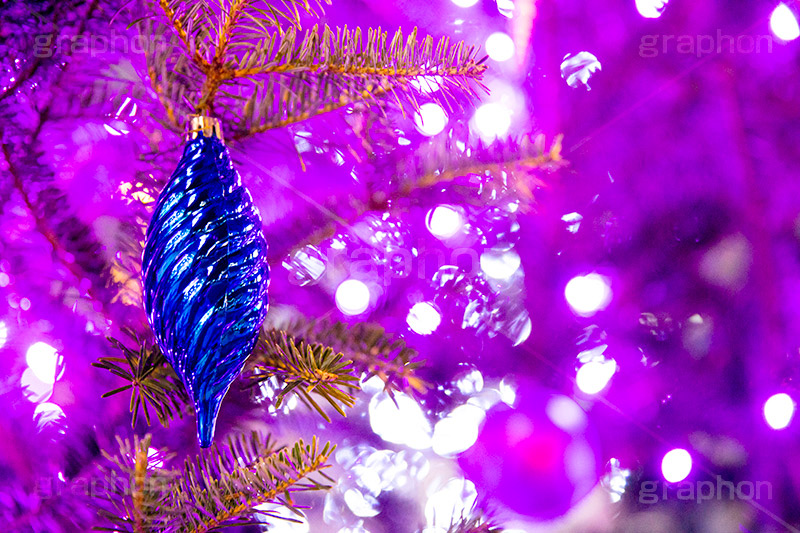 ピンクに輝くクリスマスツリー,クリスマスツリー,イルミネーション,イルミ,illumination,tree,電飾,電球,発光ダイオード,LED,冬,キラキラ,綺麗,きれい,キレイ,煌,輝,クリスマス,CHRISTMAS,Xmas,ornament,present,pink,飾り,デコレーション,イベント,オーナメント,ピンク,雨,雨粒