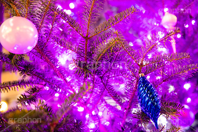ピンクに輝くクリスマスツリー,クリスマスツリー,イルミネーション,イルミ,illumination,tree,電飾,電球,発光ダイオード,LED,冬,キラキラ,綺麗,きれい,キレイ,煌,輝,クリスマス,CHRISTMAS,Xmas,ornament,present,pink,飾り,デコレーション,イベント,オーナメント,ピンク,雨,雨粒