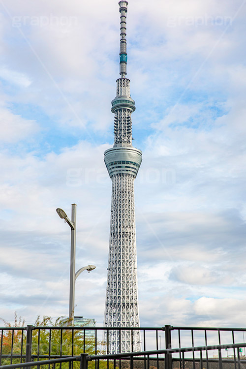 スカイツリー,東京スカイツリー,塔,隅田公園,隅田川,台東区,川,浅草,タワー,japan,skytree,asakusa,tower,フルサイズ撮影
