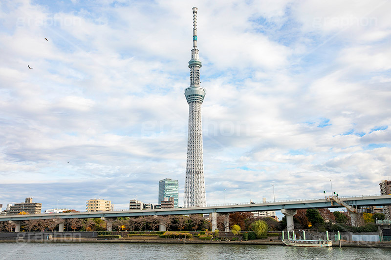 スカイツリー,東京スカイツリー,塔,隅田公園,隅田川,すみだ川,台東区,川,浅草,タワー,japan,skytree,asakusa,tower,フルサイズ撮影