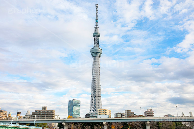 スカイツリー,東京スカイツリー,塔,隅田公園,隅田川,すみだ川,台東区,浅草,タワー,japan,skytree,asakusa,tower,フルサイズ撮影