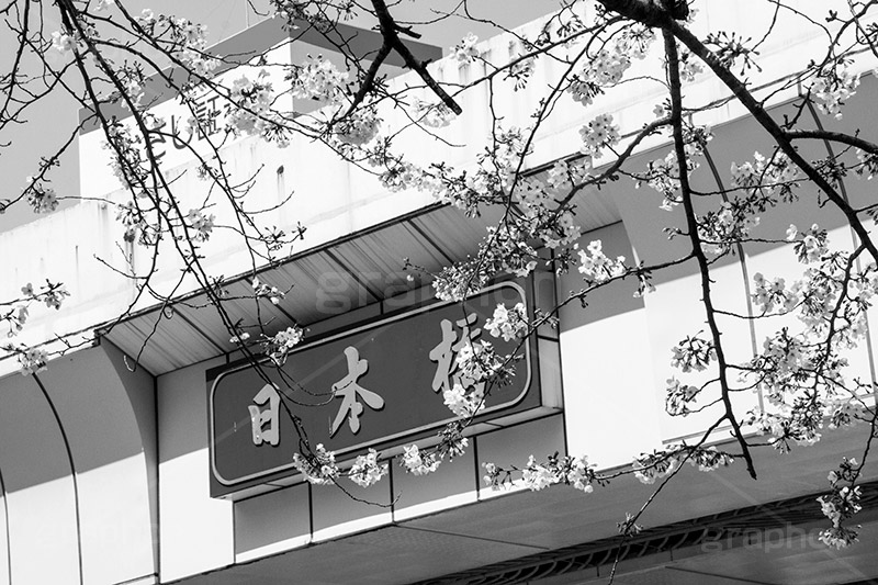 日本橋(モノクロ),モノクロ,白黒,しろくろ,モノクローム,単色画,単彩画,単色,