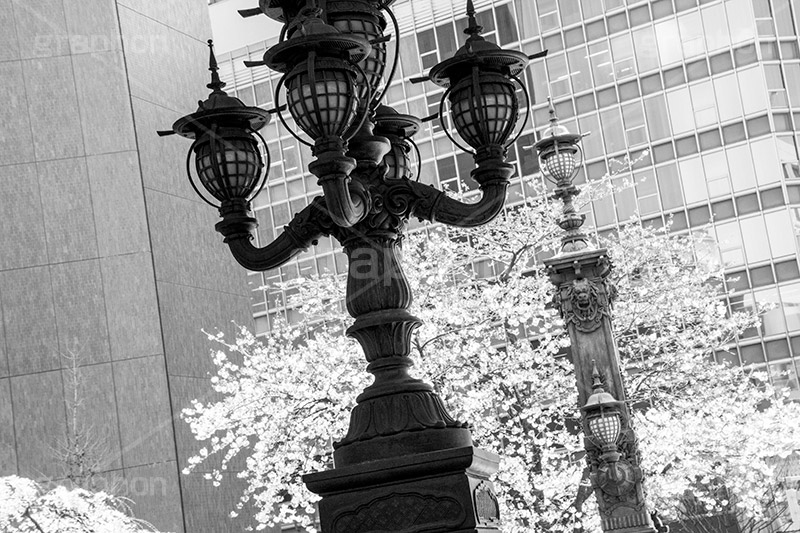日本橋(モノクロ),モノクロ,白黒,しろくろ,モノクローム,単色画,単彩画,単色,
