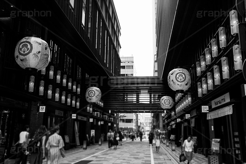 日本橋(モノクロ),モノクロ,白黒,しろくろ,モノクローム,単色画,単彩画,単色,