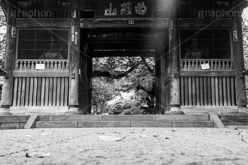 祐天寺(モノクロ),モノクロ,白黒,しろくろ,モノクローム,単色画,単彩画,単色,