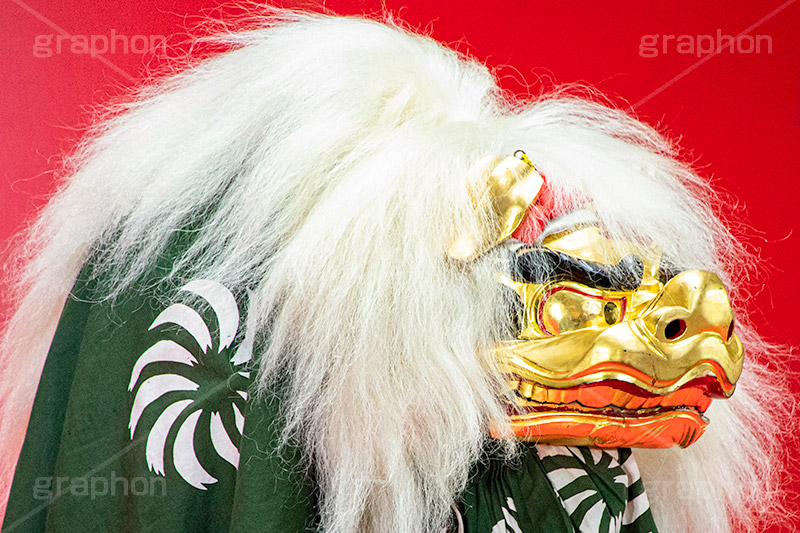 獅子舞,獅子,しし,お正月,正月,年賀状,和,縁起,魔除け,清浄,新年,年明け,年越し,祭り,お祭り,伝統芸能,伝統,初詣,イベント,行事,new year,1/1,フルサイズ撮影