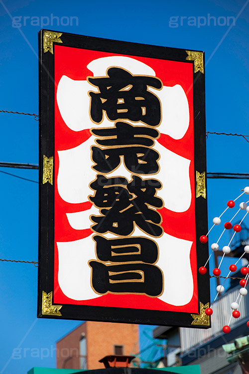 お正月の仲見世通り,商売繁盛,景気,縁起,仲見世,浅草,雷門,宝蔵門,浅草寺,あさくさ,みやげ物,みやげ,お土産,商店街,寺院建築風,台東区,正月,お正月,正月飾り,飾り,三が日,浅草 名所,浅草 観光,asakusa,japan,フルサイズ撮影