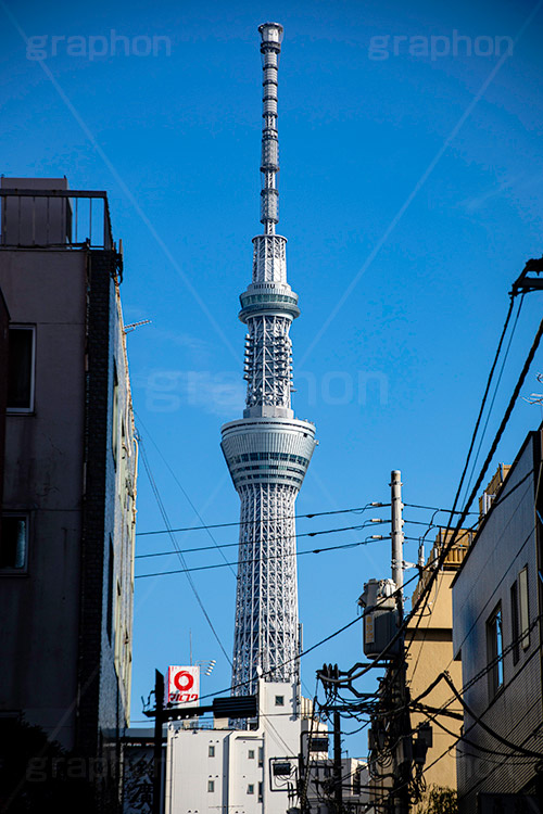 浅草,あさくさ,商店,商店街,店,江戸,スカイツリー,青空,電線,skytree,asakusa,japan,フルサイズ撮影