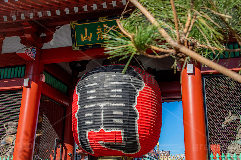 雷門,浅草,浅草寺,あさくさ,正月,正月飾り,松,山門,風神雷神門,風雷神門,風神,雷神,提灯,大提灯,台東区,浅草雷門,浅草浅草寺,寺,お寺,東京都内最古,都内最古,浅草 名所,浅草 観光,スポット,寺院,和,asakusa,japan,フルサイズ撮影