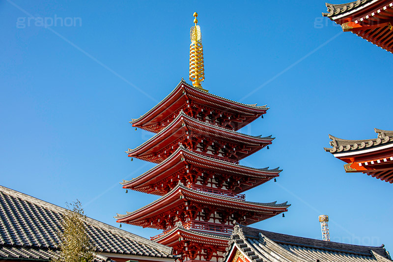 浅草寺の五重の塔,浅草,雷門,浅草寺,あさくさ,台東区,寺,お寺,参拝,お参り,東京都内最古,都内最古,五重塔,五重,五重の塔,塔,浅草 名所,浅草 観光,スポット,寺院,asakusa,japan,フルサイズ撮影