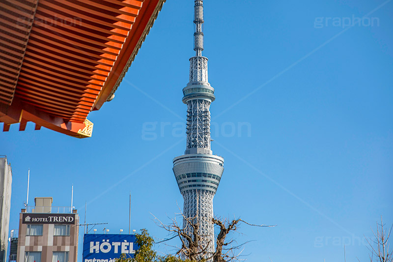 浅草寺＆スカイツリー,浅草,雷門,浅草寺,あさくさ,台東区,寺,お寺,参拝,お参り,東京都内最古,都内最古,スカイツリー,浅草寺とスカイツリー,浅草名所,東京スカイツリー,TOKYO SKYTREE,浅草 名所,浅草 観光,スポット,寺院,タワー,tower,asakusa,japan,フルサイズ撮影