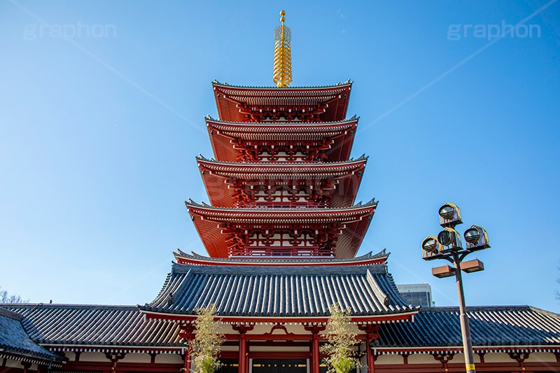 浅草寺の五重の塔,浅草,雷門,浅草寺,あさくさ,台東区,寺,お寺,参拝,お参り,東京都内最古,都内最古,五重塔,五重,五重の塔,塔,浅草 名所,浅草 観光,スポット,寺院,asakusa,japan,フルサイズ撮影