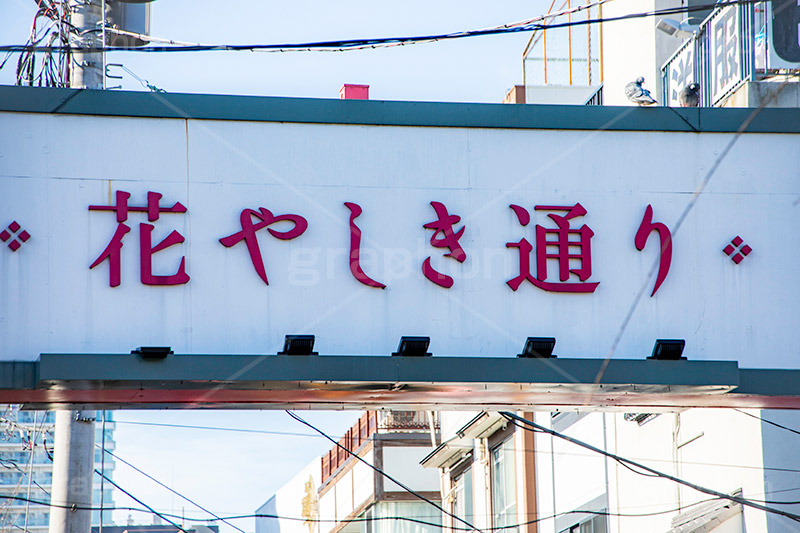 花やしき通り,浅草花やしき,花やしき,遊園地,浅草,台東区,日本最古,ローラーコースター,アトラクション,懐かしい,レトロ,風情,商店街,看板,アーチ,ゲート,asakusa,japan,フルサイズ撮影