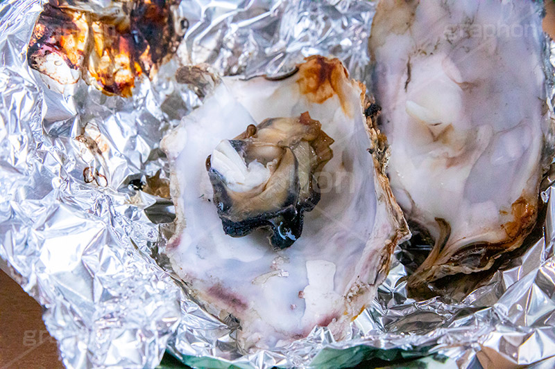 浜焼き,海鮮,シーフード,貝,甲殻類,魚介類,海の幸,焼く,漁港,郷土料理,バーベキュー,カキ,牡蠣,殻,二枚貝,オイスター,seafood,フルサイズ撮影