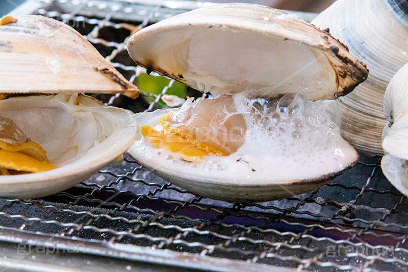 浜焼き,海鮮,シーフード,貝,甲殻類,魚介類,海の幸,焼く,漁港,郷土料理,バーベキュー,ホンビノスガイ,ホンビノス貝,二枚貝,外来種,泡,seafood,フルサイズ撮影