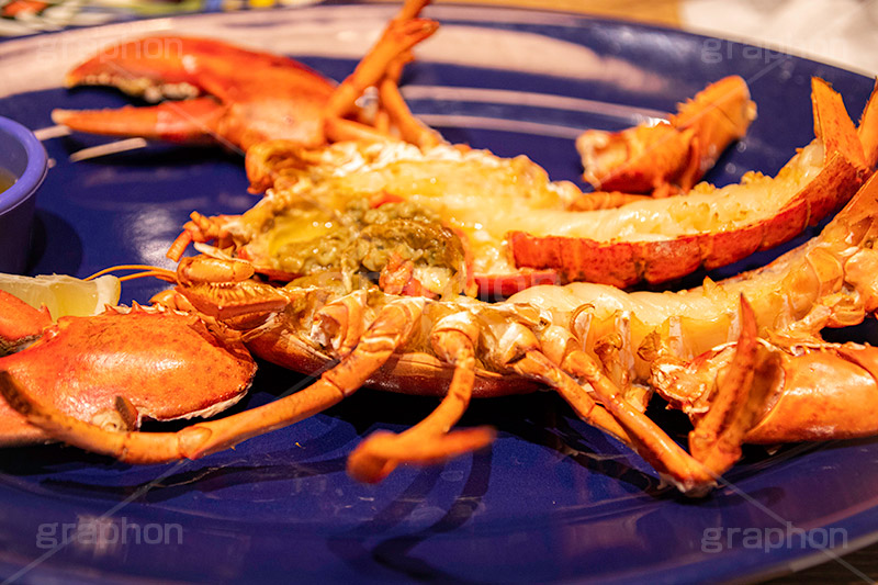 ロブスター,丸ごと,オーブン焼き,焼き,甲殻類,シーフード,魚介類,オマール海老,洋食,seafood,フルサイズ撮影