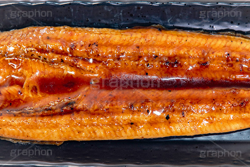 うなぎ,ウナギ,鰻重,鰻,土用の丑の日,土用,丑の日,蒲焼,かば焼き,夏,和食,日本食,日本料理,スタミナ,性,季節感,照り,ツヤ,たれ,タレ,サマー,つまみ,おつまみ,summer,japan,フルサイズ撮影