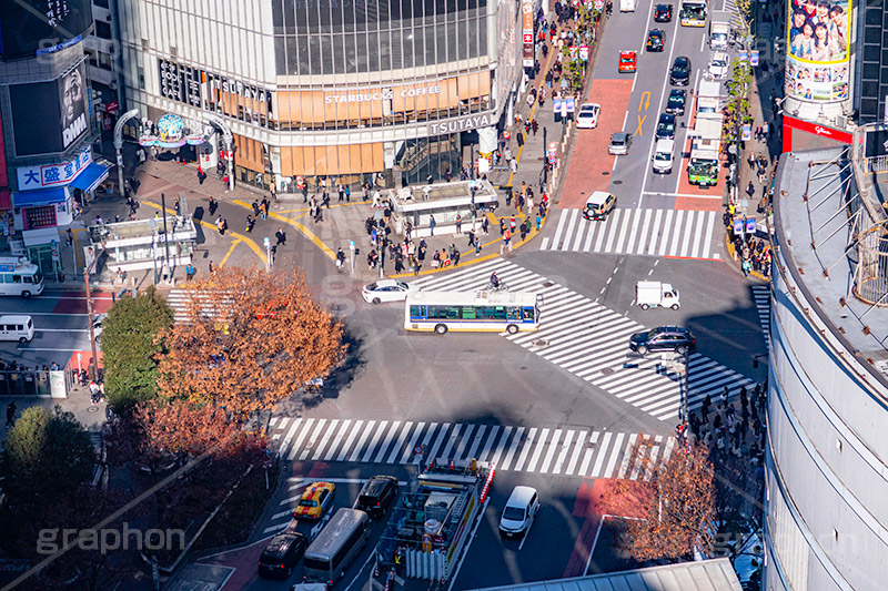 渋谷スクランブル交差点,渋谷,しぶや,ハチ公,観光,交差点,渋谷駅,駅前,スクランブル,道玄坂,横断歩道,信号,shibuya,japan