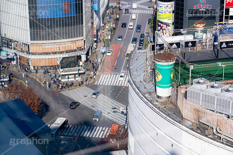渋谷スクランブル交差点,渋谷,しぶや,ハチ公,観光,交差点,渋谷駅,駅前,スクランブル,道玄坂,横断歩道,信号,shibuya,japan