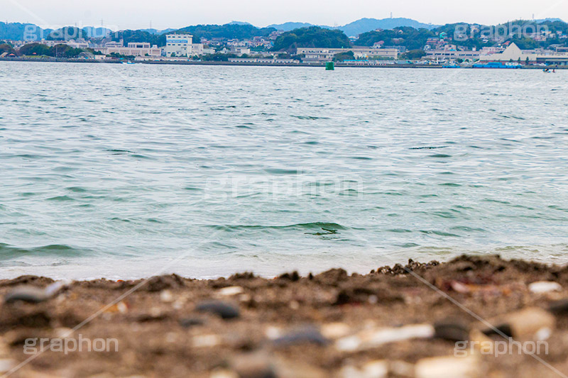 猿島,さるしま,無人島,東京湾,自然島,島,公園,神奈川県,横須賀,自然,史跡,伝説,空虚,名所,海岸,海,波打ち際,砂浜,japan