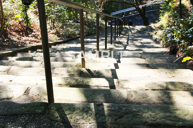 階段,石階段,寺,お寺,てら,参拝,お参り,急,山道,上がる,上る,下る,下がる,寺院