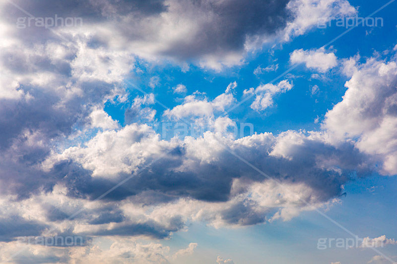 迫る雨雲,雨雲,ゲリラ豪雨,豪雨,空,雲,積乱雲,お天気,空/天気,空/雲,自然,sky,natural,フルサイズ撮影