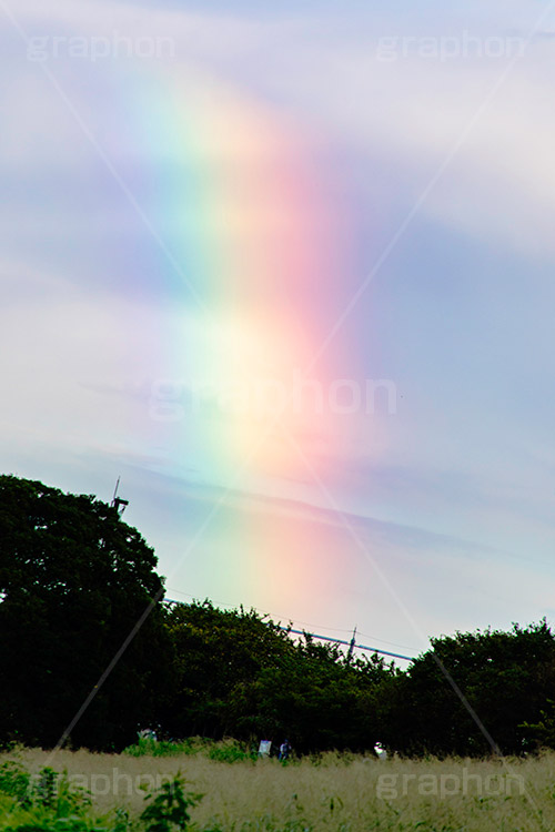 虹,にじ,空,雨上がり,雲,天気,お天気,空/天気,空/雲,sky,rainbow,フルサイズ撮影