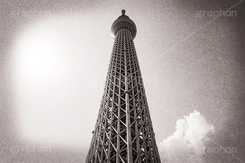スカイツリー,モノクロ,白黒,しろくろ,モノクローム,単色画,単彩画,単色,レトロ,お洒落,おしゃれ,オシャレ,味わい