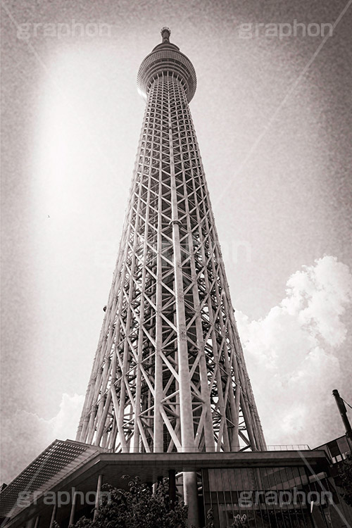 スカイツリー,モノクロ,白黒,しろくろ,モノクローム,単色画,単彩画,単色,レトロ,お洒落,おしゃれ,オシャレ,味わい
