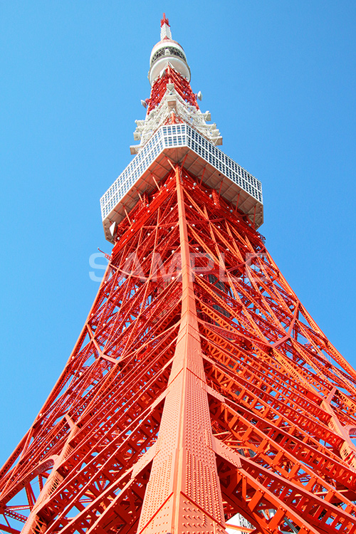 東京タワー,タワー,総合電波塔,電波,塔,日本電波塔,333m,とうきょうタワー,Tokyo Tower,港区,東京のシンボル,観光名所,真下,見上げ,japan