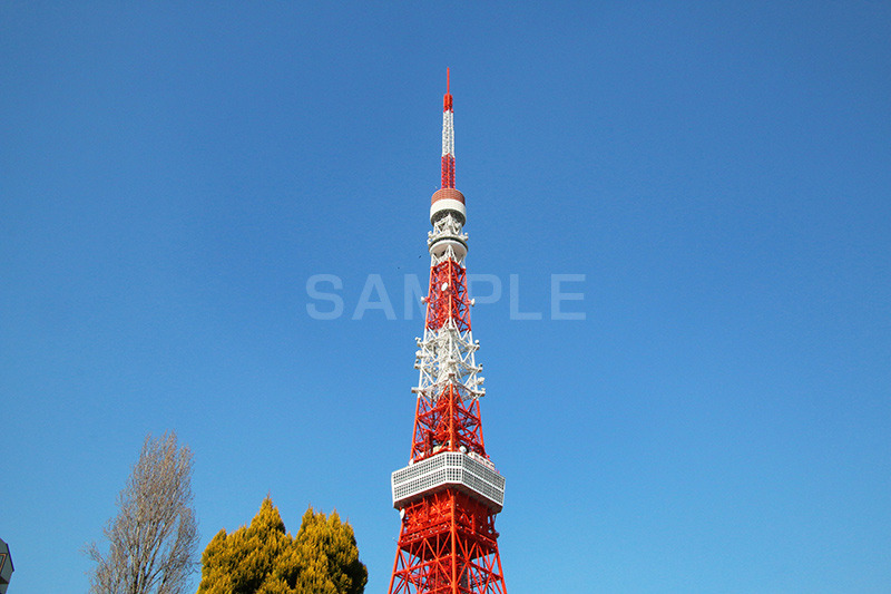 東京タワー,タワー,総合電波塔,電波,塔,日本電波塔,333m,とうきょうタワー,Tokyo Tower,港区,東京のシンボル,観光名所,japan
