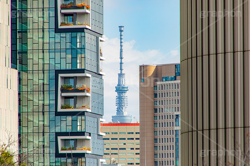 隙間ツリー,隙間,スカイツリー,東京スカイツリー,塔,千代田区,タワー,japan,skytree,tower,フルサイズ撮影