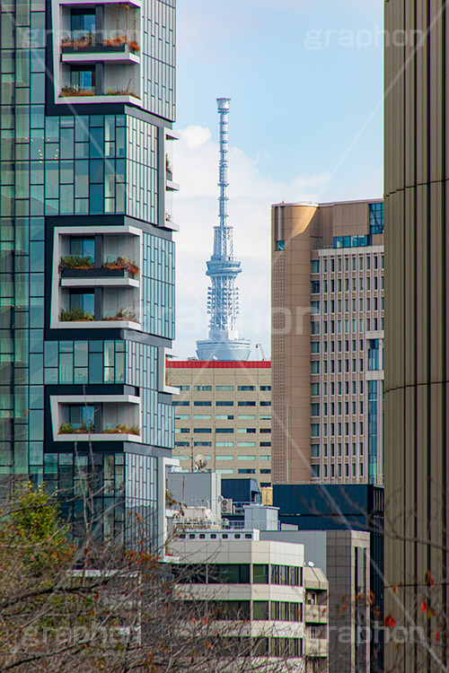 隙間ツリー,隙間,スカイツリー,東京スカイツリー,塔,千代田区,タワー,japan,skytree,tower,フルサイズ撮影