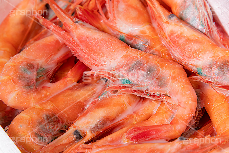 冷凍甘エビ,甘エビ,甘海老,甘えび,海老,えび,エビ,冷凍,解凍,刺身,お刺身,生,さしみ,つまみ,おつまみ,和食,日本食,日本料理,魚介,甲殻類,シーフード,seafood,shrimp