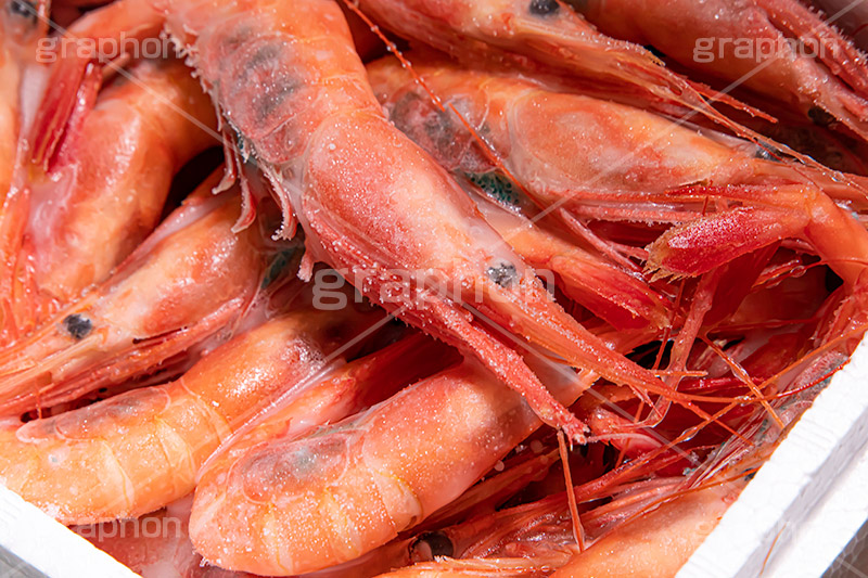 冷凍甘エビ,甘エビ,甘海老,甘えび,海老,えび,エビ,冷凍,解凍,刺身,お刺身,生,さしみ,つまみ,おつまみ,和食,日本食,日本料理,魚介,甲殻類,シーフード,seafood,shrimp