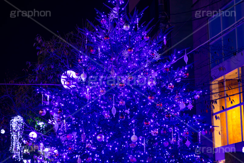 自由が丘イルミネーション,イルミネーション,イルミ,クリスマスツリー,キラキラ,クリスマス,電飾,電球,発光ダイオード,冬,綺麗,きれい,キレイ,煌,輝,デート,スポット,デコレーション,イベント,ブルー,ワイングラス,医療従事者,感謝,都内,自由が丘,飾り,目黒区,行事,九品仏,illumination,tree,LED,CHRISTMAS,Xmas,blue,フルサイズ撮影