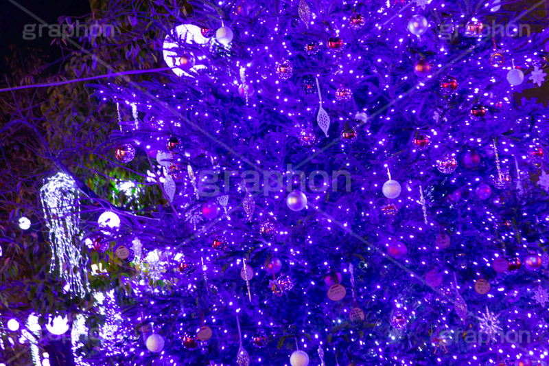 自由が丘イルミネーション,イルミネーション,イルミ,クリスマスツリー,キラキラ,クリスマス,電飾,電球,発光ダイオード,冬,綺麗,きれい,キレイ,煌,輝,デート,スポット,デコレーション,イベント,ブルー,ワイングラス,医療従事者,感謝,都内,自由が丘,飾り,目黒区,行事,九品仏,illumination,tree,LED,CHRISTMAS,Xmas,blue,フルサイズ撮影