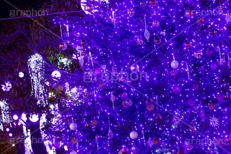 自由が丘イルミネーション,イルミネーション,イルミ,クリスマスツリー,キラキラ,クリスマス,電飾,電球,発光ダイオード,冬,綺麗,きれい,キレイ,煌,輝,デート,スポット,デコレーション,イベント,ブルー,ワイングラス,医療従事者,感謝,都内,自由が丘,飾り,目黒区,行事,九品仏,illumination,tree,LED,CHRISTMAS,Xmas,blue,フルサイズ撮影