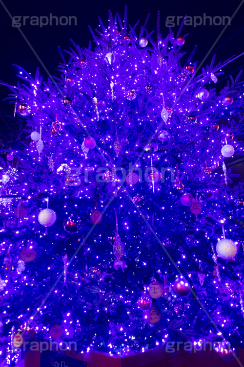 自由が丘イルミネーション,イルミネーション,イルミ,クリスマスツリー,キラキラ,クリスマス,電飾,電球,発光ダイオード,冬,綺麗,きれい,キレイ,煌,輝,デート,スポット,デコレーション,イベント,ブルー,ワイングラス,医療従事者,感謝,都内,自由が丘,飾り,目黒区,行事,九品仏,illumination,tree,LED,CHRISTMAS,Xmas,blue,フルサイズ撮影
