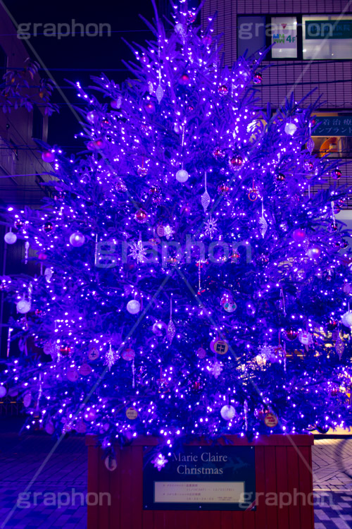 自由が丘イルミネーション,イルミネーション,イルミ,クリスマスツリー,キラキラ,クリスマス,電飾,電球,発光ダイオード,冬,綺麗,きれい,キレイ,煌,輝,デート,スポット,デコレーション,イベント,ブルー,ワイングラス,医療従事者,感謝,都内,自由が丘,飾り,目黒区,行事,九品仏,illumination,tree,LED,CHRISTMAS,Xmas,blue,フルサイズ撮影