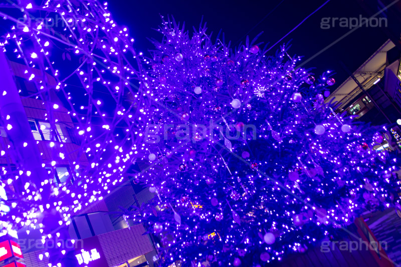 自由が丘イルミネーション,イルミネーション,イルミ,クリスマスツリー,キラキラ,クリスマス,電飾,電球,発光ダイオード,冬,綺麗,きれい,キレイ,煌,輝,デート,スポット,デコレーション,イベント,ブルー,ワイングラス,医療従事者,感謝,都内,自由が丘,飾り,目黒区,行事,九品仏,illumination,tree,LED,CHRISTMAS,Xmas,blue,フルサイズ撮影