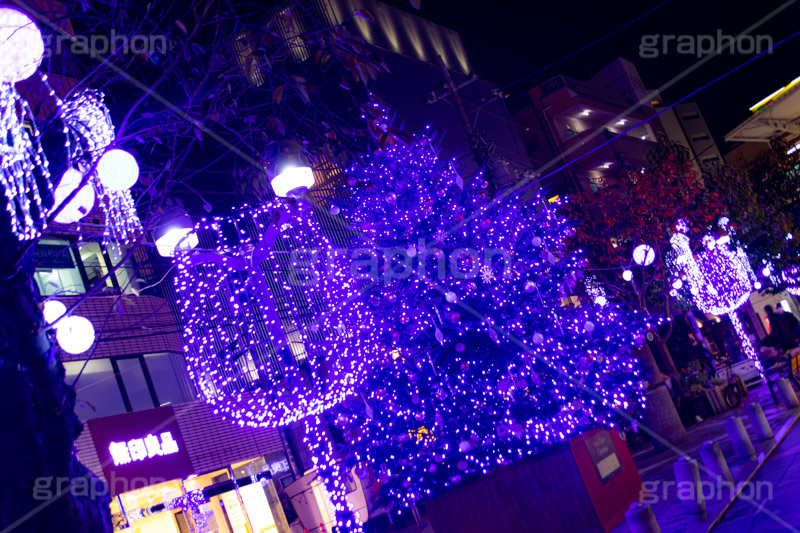 自由が丘イルミネーション,イルミネーション,イルミ,クリスマスツリー,キラキラ,クリスマス,電飾,電球,発光ダイオード,冬,綺麗,きれい,キレイ,煌,輝,デート,スポット,デコレーション,イベント,ブルー,ワイングラス,医療従事者,感謝,都内,自由が丘,飾り,目黒区,行事,九品仏,illumination,tree,LED,CHRISTMAS,Xmas,blue,フルサイズ撮影