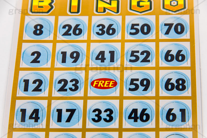 ビンゴカード,ビンゴ,カード,くじ,ゲーム,番号,当たり,運,景品,商品,free,game,bingo,card,フルサイズ撮影