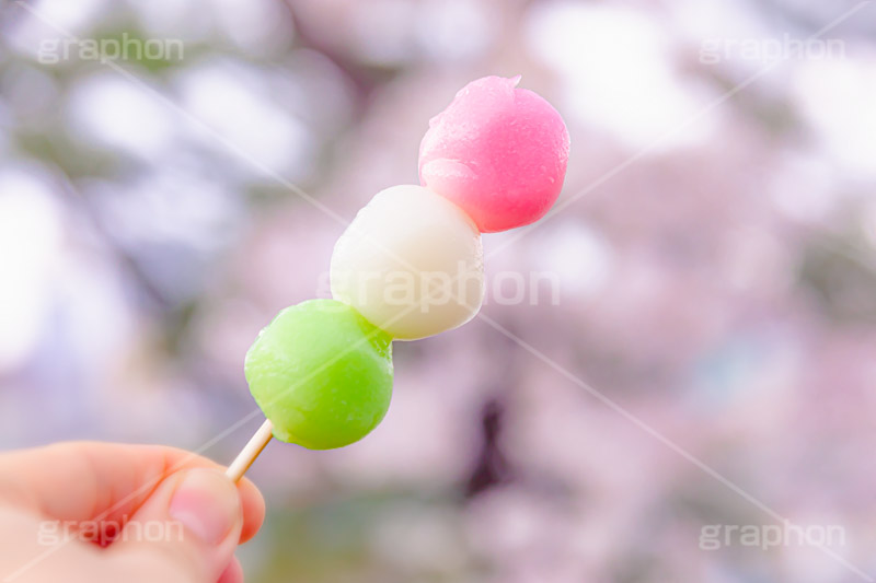 花より団子,団子,三色団子,串,だんご,桜,さくら,サクラ,花見,お花見,花,お花,フラワー,はな,春,パステル,ナチュラル,癒し,natural,pastel,blossom,japan,flower,spring,フルサイズ撮影