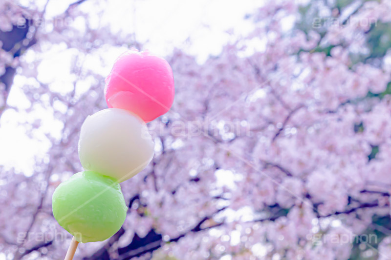花より団子,団子,三色団子,串,だんご,桜,さくら,サクラ,花見,お花見,花,お花,フラワー,はな,春,パステル,ナチュラル,癒し,natural,pastel,blossom,japan,flower,spring,フルサイズ撮影