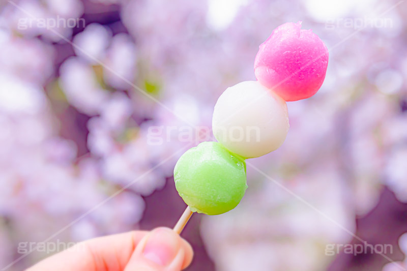 花より団子,団子,三色団子,串,だんご,桜,さくら,サクラ,花見,お花見,花,お花,フラワー,はな,春,パステル,ナチュラル,癒し,natural,pastel,blossom,japan,flower,spring,フルサイズ撮影