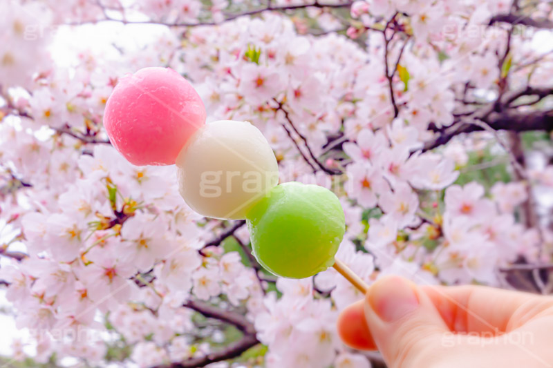 花より団子,団子,三色団子,串,だんご,桜,さくら,サクラ,花見,お花見,花,お花,フラワー,はな,春,パステル,ナチュラル,癒し,natural,pastel,blossom,japan,flower,spring,フルサイズ撮影