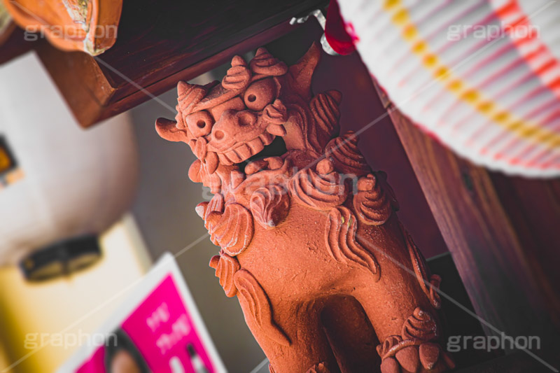 シーサー,沖縄,伝説,獣像,石造,魔除け,屋根,居酒屋,フルサイズ撮影
