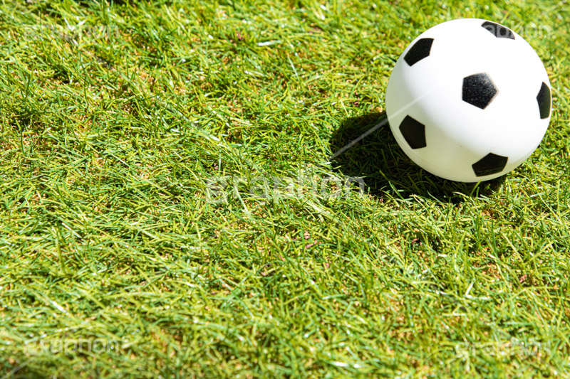 サッカーボール,サッカー,フットサル,ボールの玩具,ボール,ゴムボール,玩具,おもちゃ,こども,子供,キッズ,スポーツ,運動,競技,球技,体育,部活,芝生,グラウンド,グランド,sports,kids,ball,フルサイズ撮影
